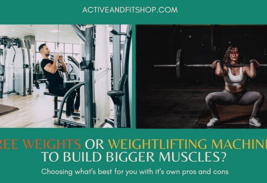 Free Weights Or Weightlifting Machines To Build Bigger Muscles